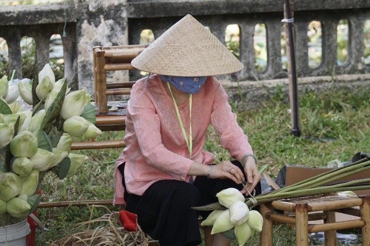 sen hồ Tịnh Tâm - hồ sen cung cấp cho cung đình Huế xưa (Ảnh Đ.Minh)