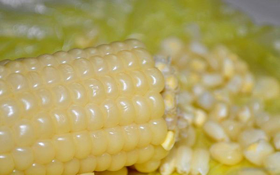 Ăn quá nhiều ngô trong thời gian dài cũng có thể gây tổn thương cho các cơ quan trong cơ thể. (Ảnh: ITN) 2-an-qua-nhieu-ngo-trong-thoi-gian-dai-8863.jpg
