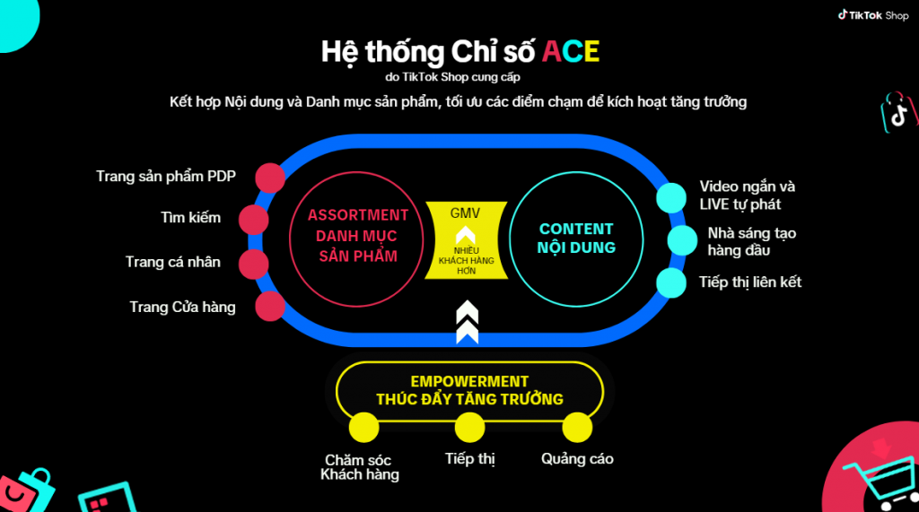 Bí quyết bứt phá nhờ ứng dụng thành công Hệ thống chỉ số ACE từ TikTok Shop