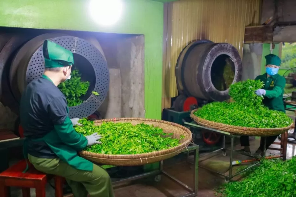 Tuyên Quang: Xuất khẩu hàng hóa là điểm sáng về kinh tế Tuyên Quang: Xuất khẩu hàng hóa là điểm sáng về kinh tế