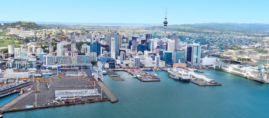 study-abroad-in-newzealand-1024x449.jpg