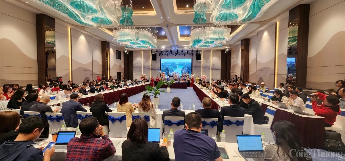 Quảng Ninh: Tăng sức hút du lịch từ vịnh Bái Tử Long