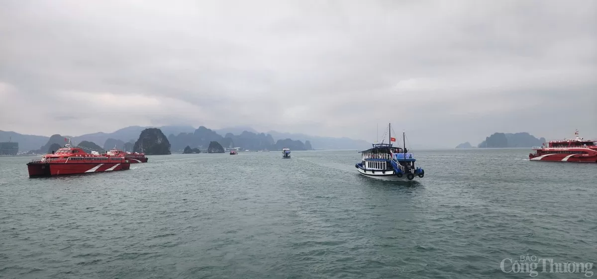 Quảng Ninh: Tăng sức hút du lịch từ vịnh Bái Tử Long