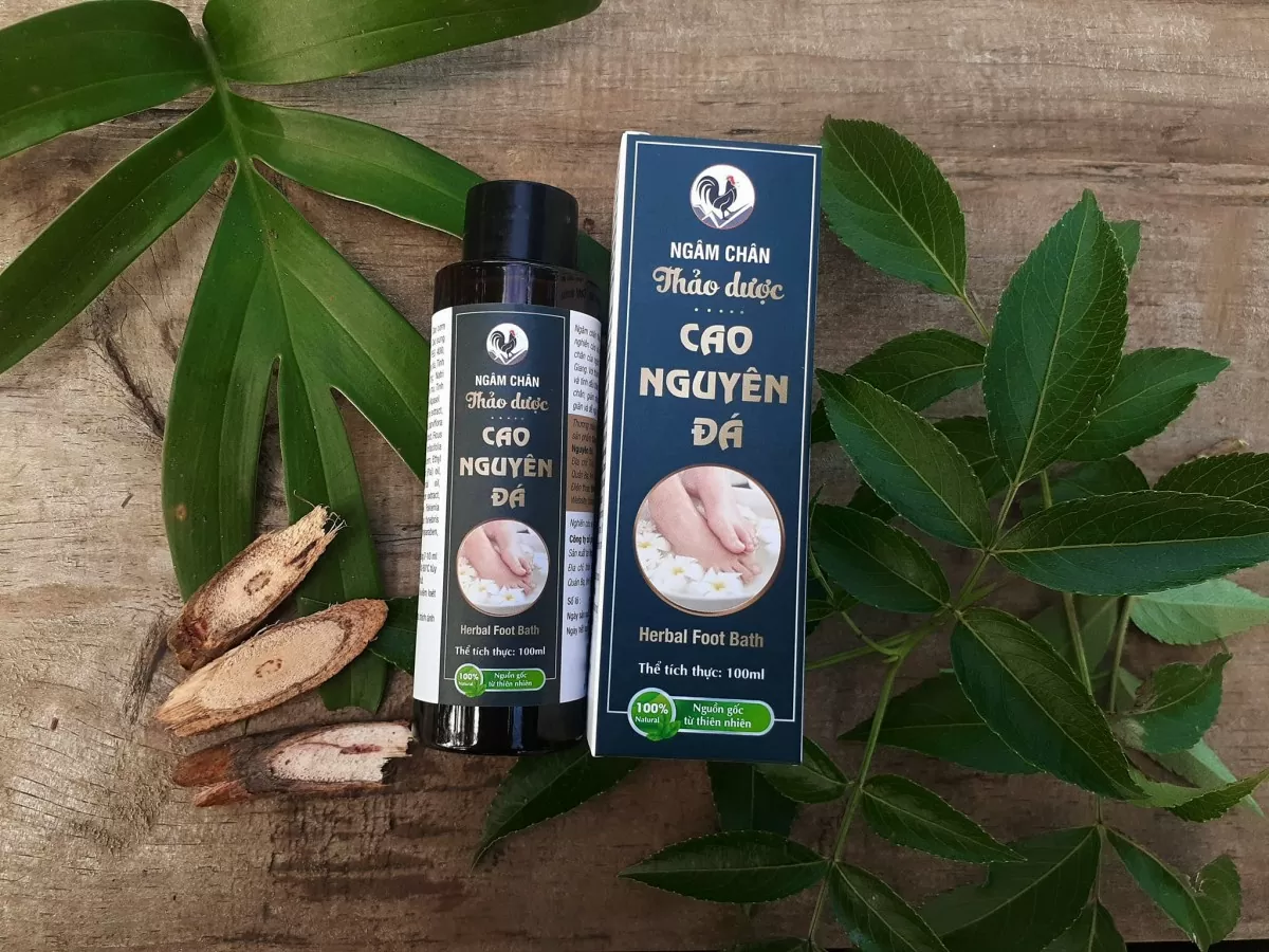 Phát triển dược liệu – Nâng cao sinh kế cho đồng bào người Dao Nặm Đăm