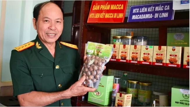 Ông Lê Văn Trường- HTX Liên kết mắc ca Di Linh