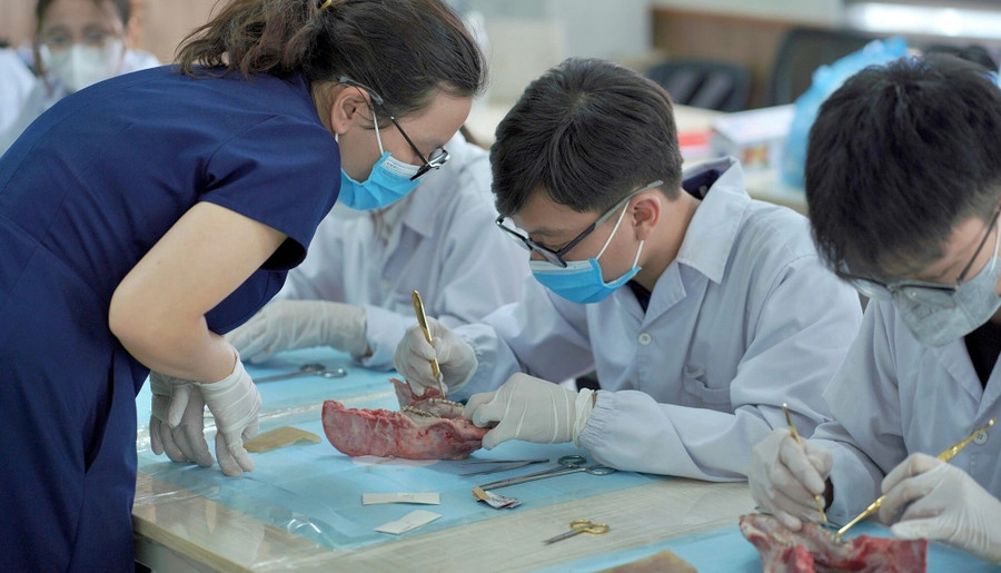Sinh viên khoa Răng Hàm Mặt, trường Đại học Y Dược trong một workshop về phẫu thuật trong miệng hồi tháng 5. Ảnh: Fanpage LCĐ khoa Răng Hàm Mặt.