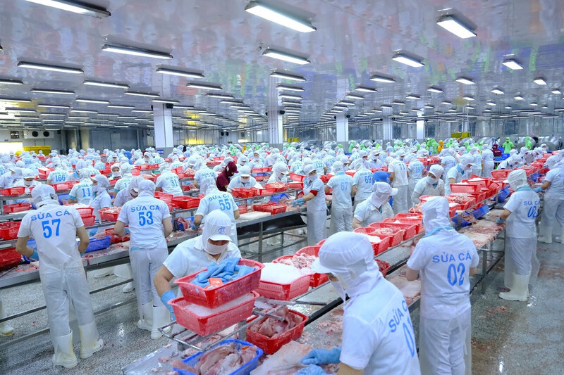 Với EVFTA, không chỉ các tập đoàn lớn được hưởng lợi mà các doanh nghiệp vừa và nhỏ (SME) cũng đang khai thác tốt các ưu đãi từ hiệp định. Ảnh: Hoàng Ngân