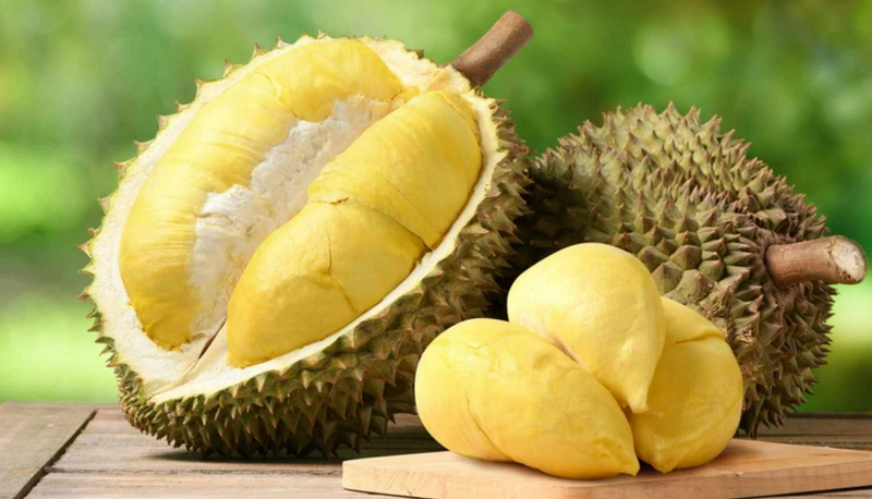 Bộ Nông nghiệp và Môi trường ban hành quy trình kiểm soát an toàn thực phẩm sầu riêng xuất khẩu. Ảnh: Minh họa