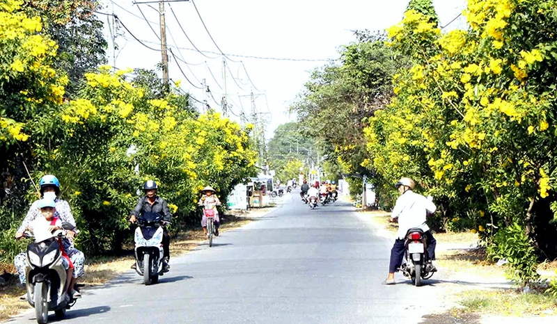 Đồng Nai là một trong những địa phương đi đầu cả nước trong xây dựng nông thôn mới kiểu mẫu - Ảnh minh họa