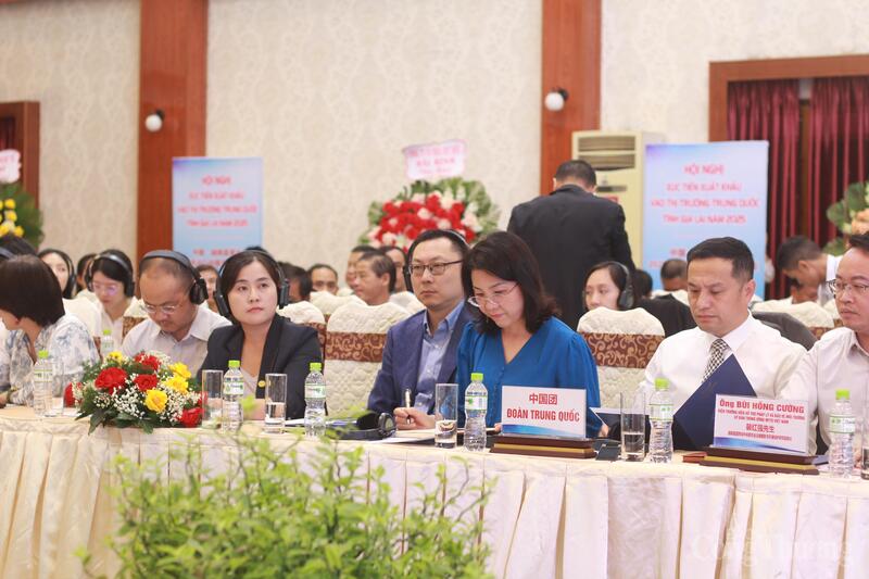 Cơ hội lớn cho nông sản Gia Lai tại thị trường Trung Quốc - 11