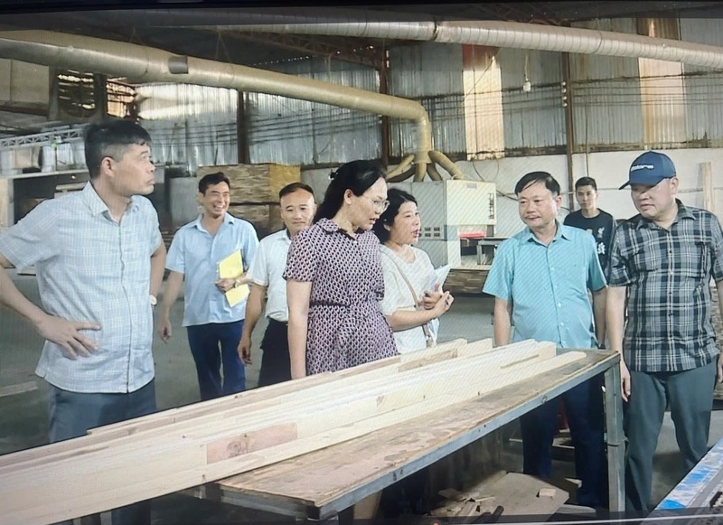 Đoàn kiểm tra của Cục Đổi mới sáng tạo, Chuyển đổi xanh và Khuyến công làm việc tại Công ty TNHH sản xuất thương mại XNK lâm sản Hải Oanh. Ảnh: Xuân Phong