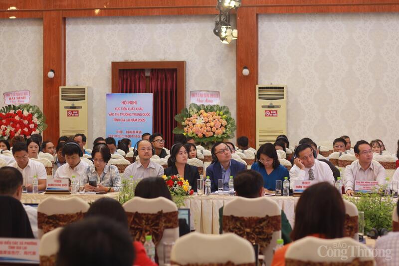 Tham dự hội nghị có 30 đại biểu là cán bộ Cục Dữ liệu lớn tỉnh Quảng Tây, các doanh nghiệp kinh doanh xuất nhập khẩu đến từ Trung Quốc