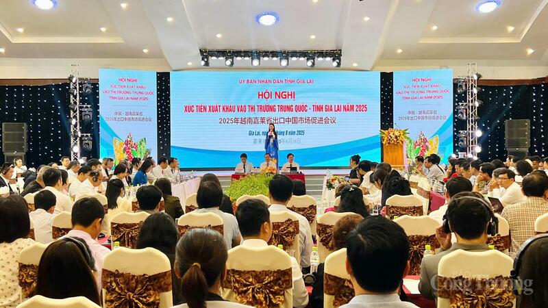 Quang cảnh Hội nghị xúc tiến xuất khẩu vào thị trường Trung Quốc năm 2025