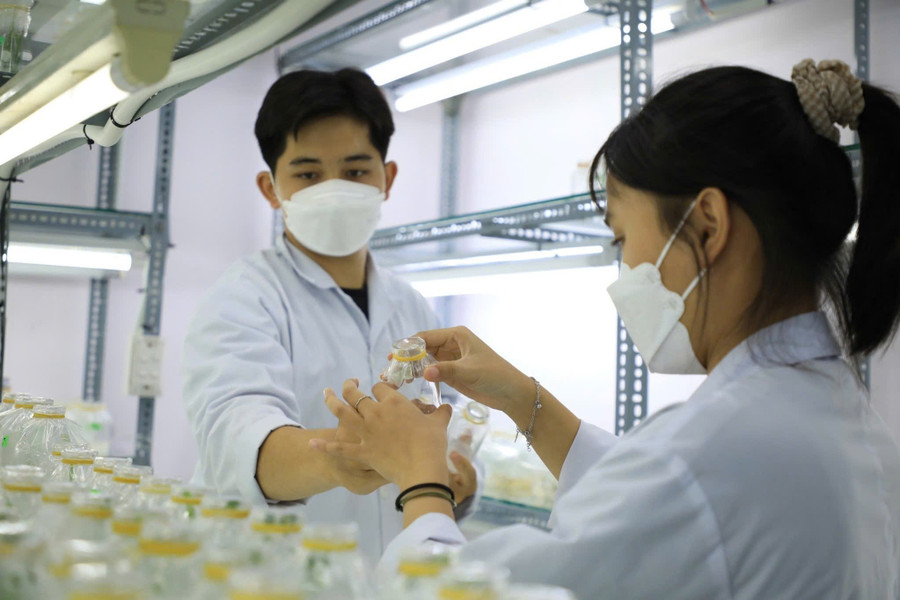 Sinh viên Trường Đại học Công Thương TPHCM. (Ảnh: NTCC) 3249553370845284197.jpg