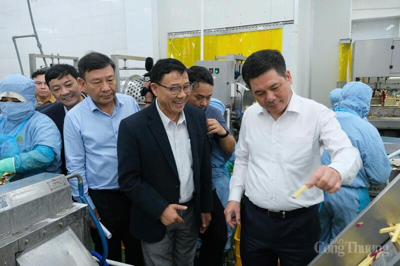 Bộ trưởng Nguyễn Hồng Diên khảo sát quá trình chế biến của Công ty Cổ phần Viên Sơn.