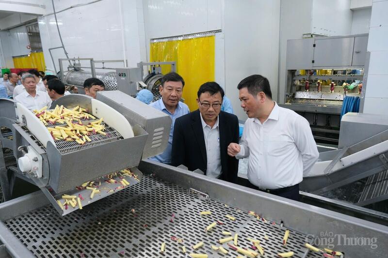 Đoàn công tác tham quan quy trình sản xuất và chế biến nông sản phục vụ xuất khẩu.