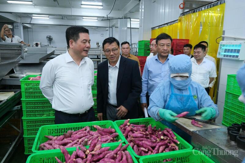 Bộ trưởng Nguyễn Hồng Diên tìm hiểu nhà máy chế biến của Công ty Cổ phần Viên Sơn (xã Hiệp Thạnh). Ảnh: Lê Sơn.