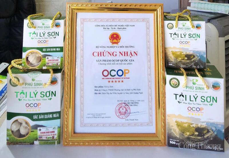 Tỏi Lý Sơn có nhiều cơ hội để xuất khẩu nhưng vẫn còn nhiều trở ngại do chưa thể xây dựng nguồn nguyên liệu ổn định