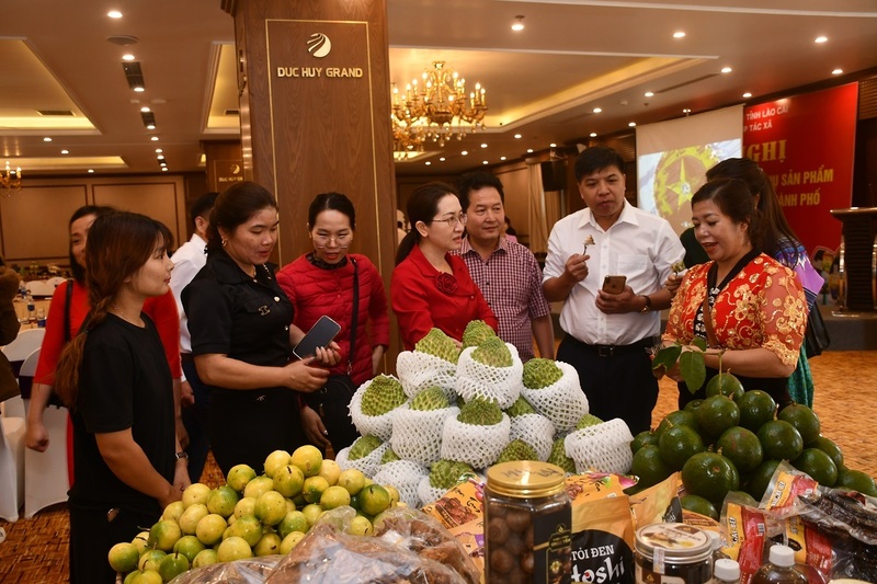 Lào Cai xúc tiến thương mại, tiêu thụ sản phẩm cho hợp tác xã.