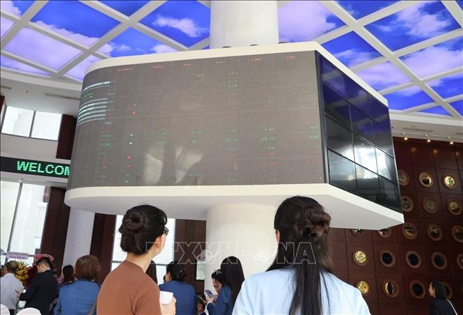 Nhà đầu tư theo dõi diễn biến thị trường cổ phiếu tại sàn HOSE.