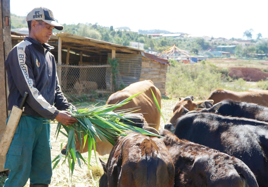 Gia đình anh A Tư từ khó khăn nay đã ổn định, kinh tế ngày càng cải thiện. z7086378972537-908700142789ef855bcf0193e4c34226.jpg
