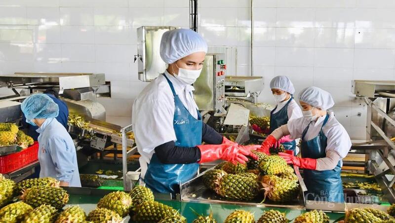 Hoạt động sản xuất duy trì đà tăng trưởng bền vững.