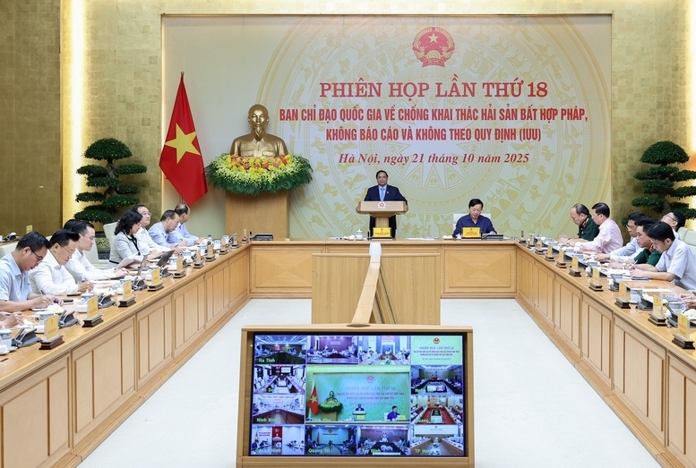 Thủ tướng Chính phủ yêu cầu các bộ, ngành, địa phương xây dựng chương trình chuyển đổi nghề nghiệp, sinh kế cho ngư dân - Ảnh: VGP/Nhật Bắc