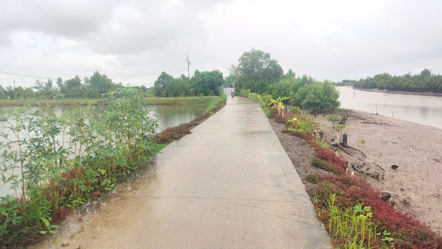 Một tuyến đường được đầu tư từ nguồn vốn Chương trình MTQG phát triển KT-XH vùng đồng bào DTTS giai đoạn 2021-2025 tại xã Thanh Tùng (Cà Mau).