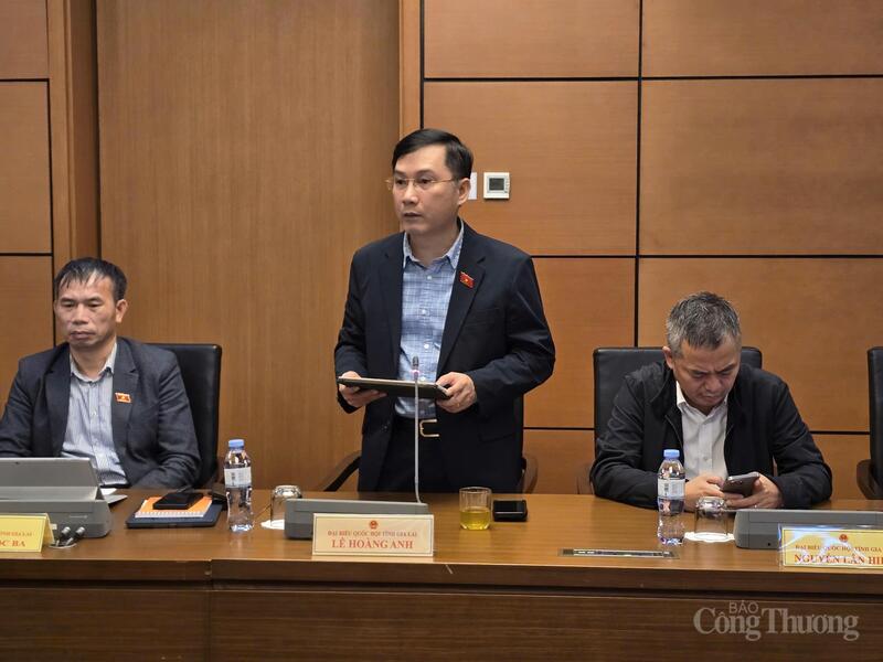 Đại biểu Lê Hoàng Anh - Đoàn ĐBQH tỉnh Gia Lai