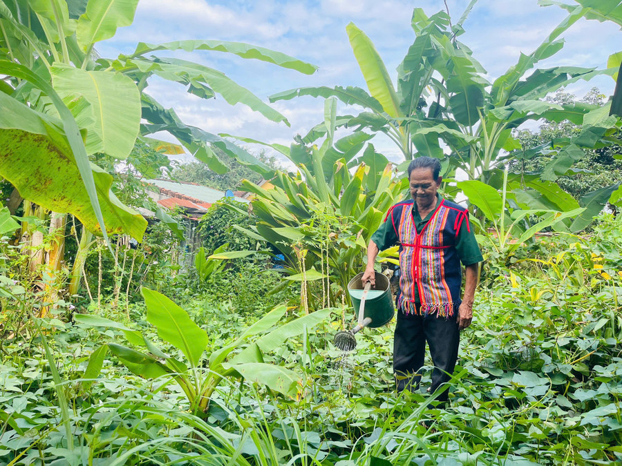 Già làng A Káo luôn gương mẫu, đi đầu trong tuyên truyền, hướng dẫn bà con thực hiện tốt chủ trương, chính sách, sống và làm việc theo pháp luật.