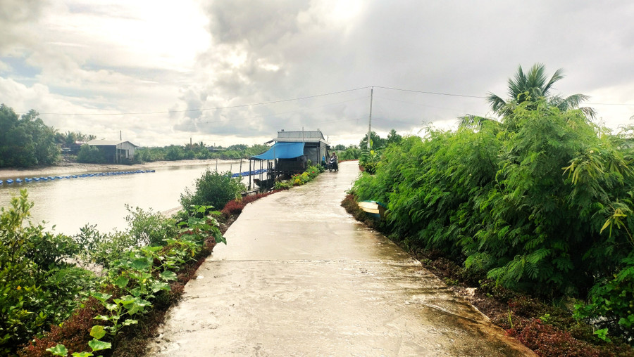 Một tuyến lộ ở xã Thanh Tùng được đầu tư từ nguồn vốn chương trình. ha-tang-3.jpg