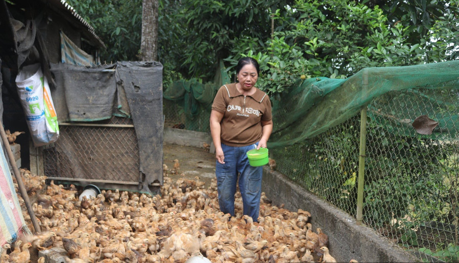 Không chỉ phát triển kinh tế cá nhân, mô hình được nhân rộng, chia sẻ giúp nhau thoát nghèo. 1000044589.jpg