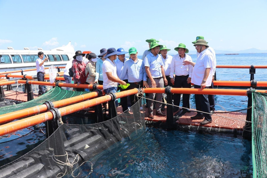Lồng nuôi cá biển xa bờ của hợp tác xã nuôi biển Cam Ranh ở tỉnh Khánh Hòa. Ảnh: Đặng Tuấn/TTXVN