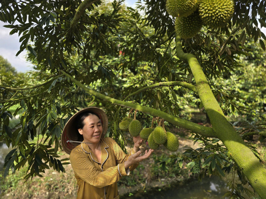 Nông sản miền Tây sẽ đi xa hơn, bán được giá hơn nhờ cơ sở hạ tầng giao thông ngày càng hoàn thiện. z7452642939406-f5f6f454bfe7e94545a7272d42ca403d.jpg