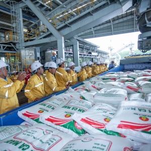 PVCFC hướng tới phát triển hệ sinh thái nông nghiệp trong thập kỷ mới