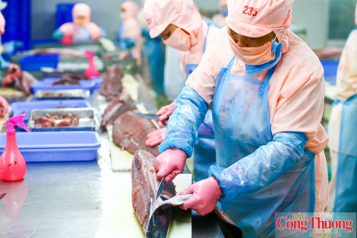 Xuất nhập khẩu được kỳ vọng tiếp tục tạo lực đẩy tăng trưởng.